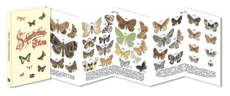 Bild: 9783950307719 | Schmetterlings-Atlas | Buch | Leporello | Deutsch | 2011