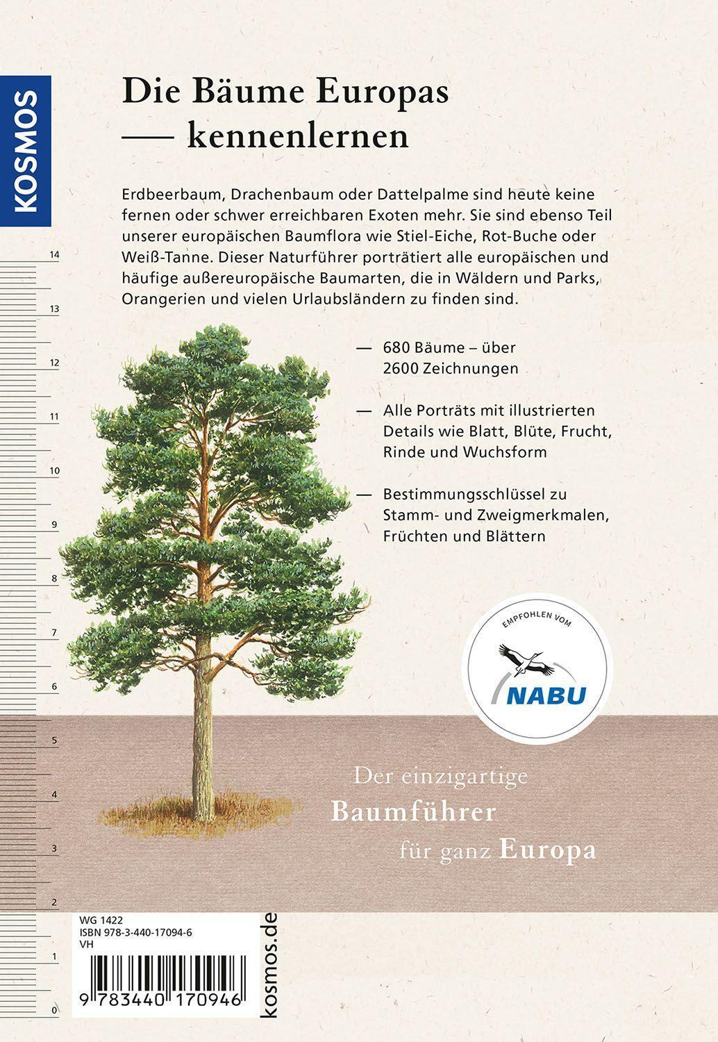 Bild: 9783440170946 | Der Kosmos-Baumführer Europa | 680 Bäume, 2600 Zeichnungen | Spohn