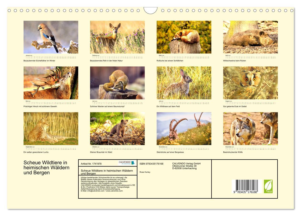 Bild: 9783435176168 | Scheue Wildtiere in heimischen Wäldern und Bergen (Wandkalender...