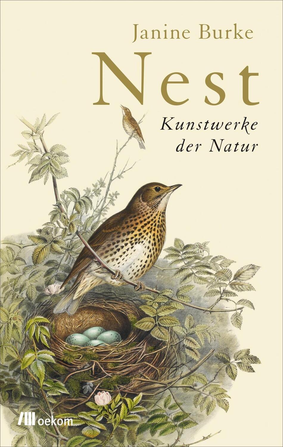 Cover: 9783960060116 | Nest | Kunstwerke der Natur | Janine Burke | Buch | Deutsch | 2017