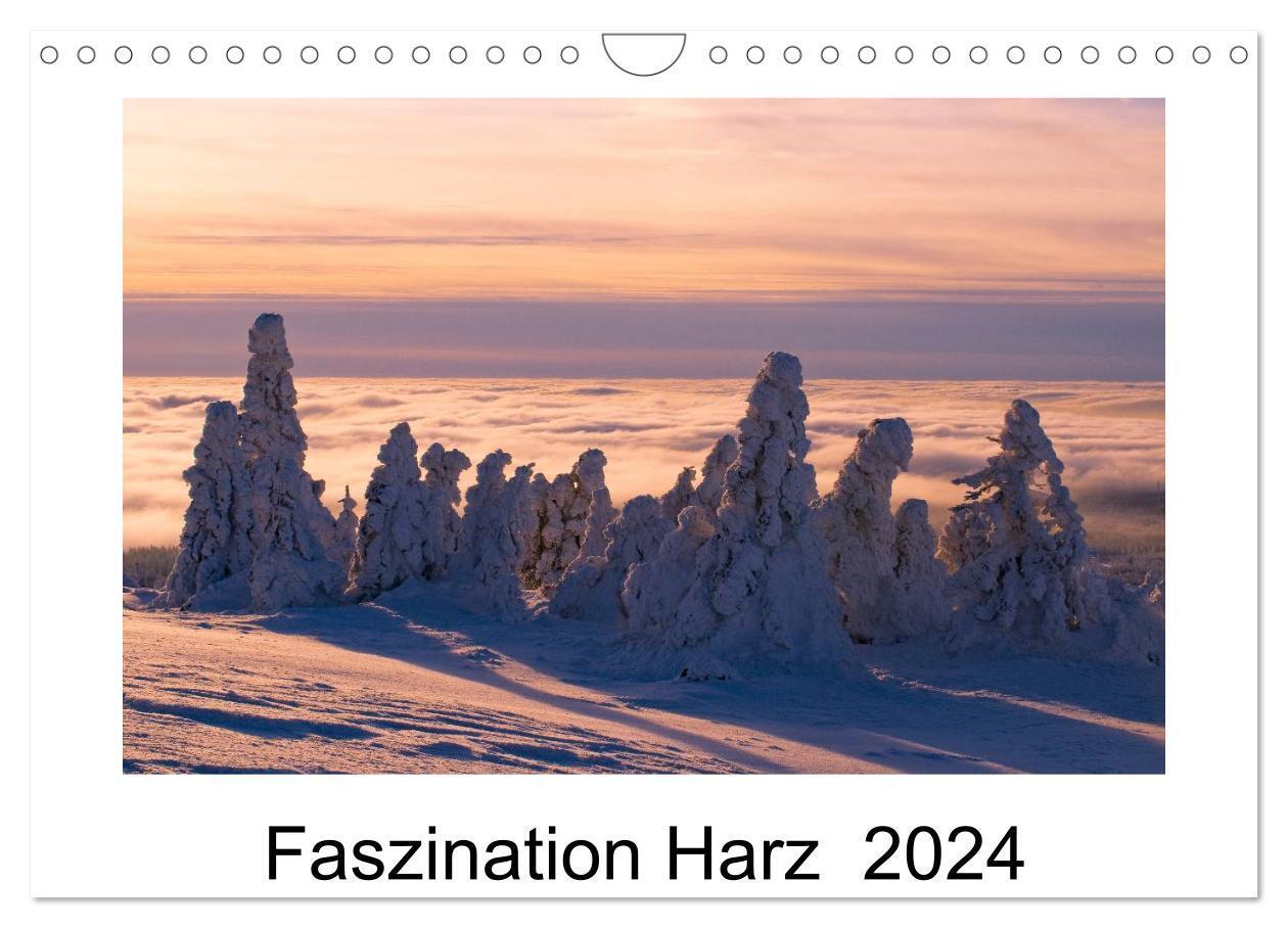 Cover: 9783675701809 | Faszination Harz 2024 (Wandkalender 2024 DIN A4 quer), CALVENDO...