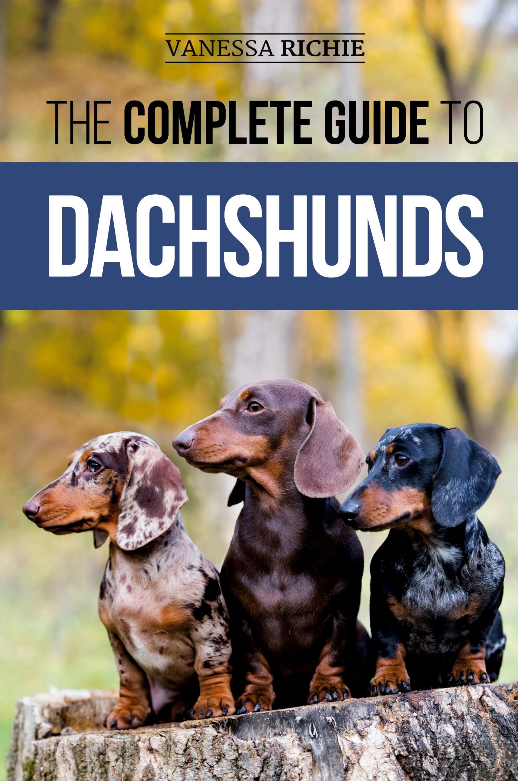 Cover: 9781952069680 | The Complete Guide to Dachshunds | Vanessa Richie | Taschenbuch | 2020