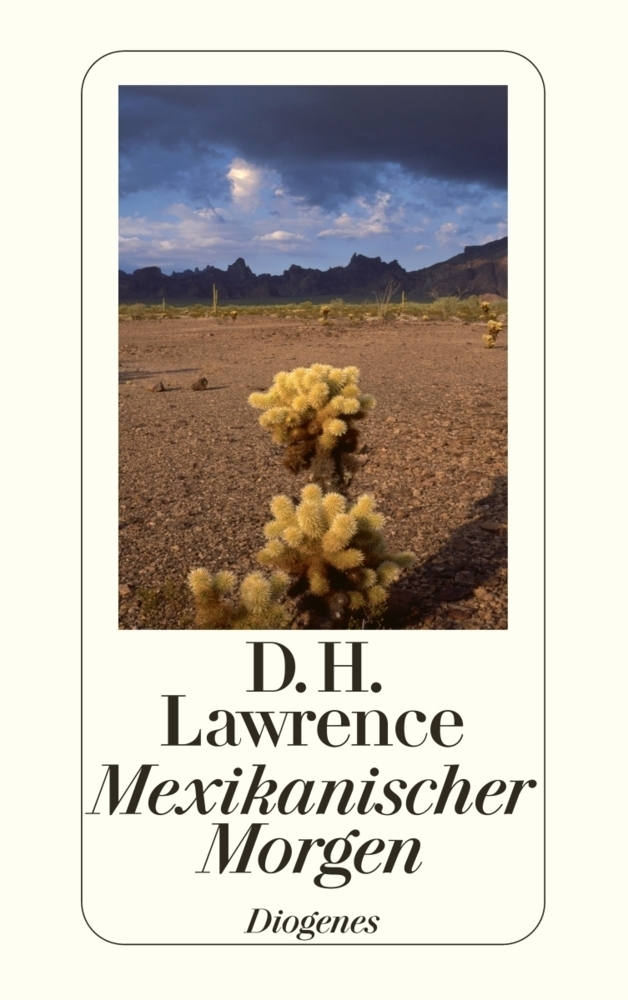 Cover: 9783257213119 | Mexikanischer Morgen | Reisetagebücher | D. H. Lawrence | Taschenbuch