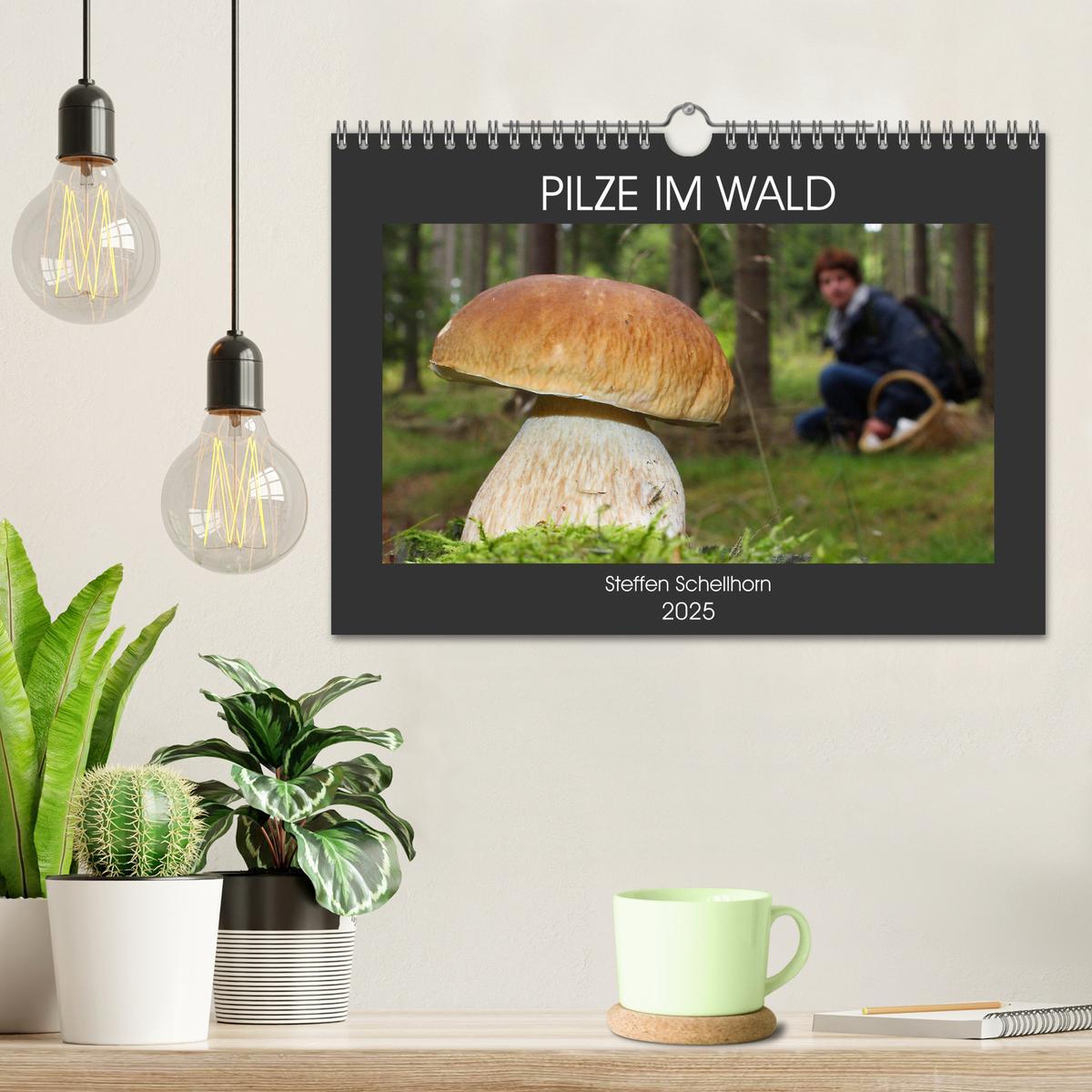 Bild: 9783435078844 | PILZE IM WALD (Wandkalender 2025 DIN A4 quer), CALVENDO Monatskalender