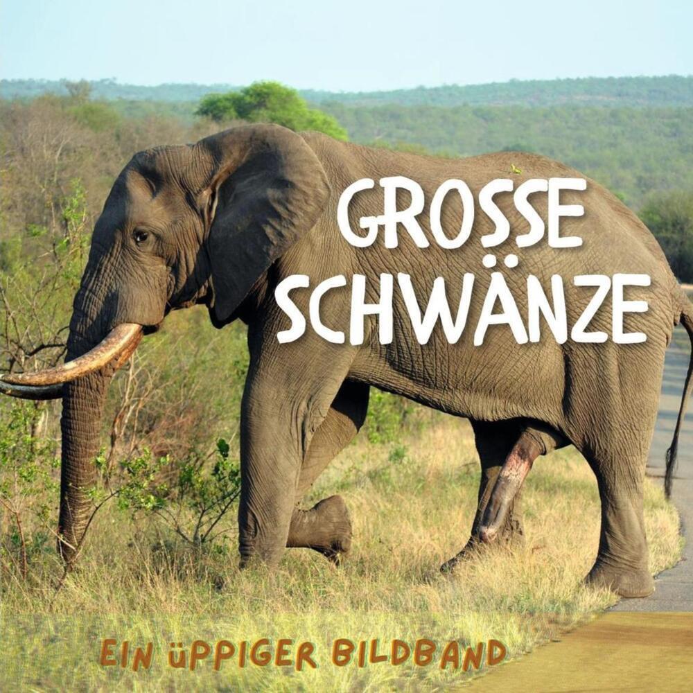 Cover: 9783750509511 | Grosse Schwänze | Ein üppiger Bildband | Tim Fröhlich | Taschenbuch
