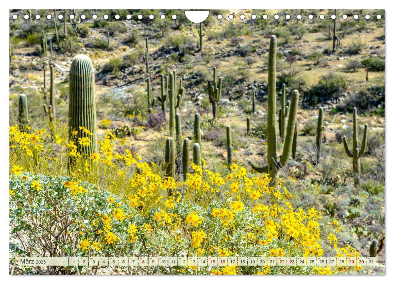 Bild: 9783383796579 | Unterwegs in ARIZONA (Wandkalender 2025 DIN A4 quer), CALVENDO...