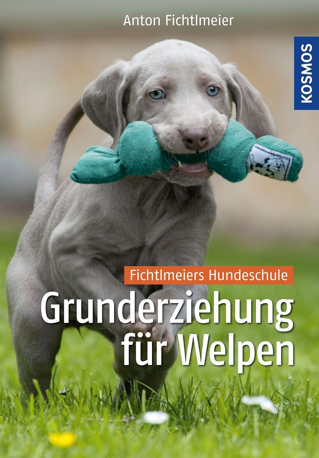 Cover: 9783440134139 | Grunderziehung für Welpen | Fichtlmeiers Hundeschule | Fichtlmeier
