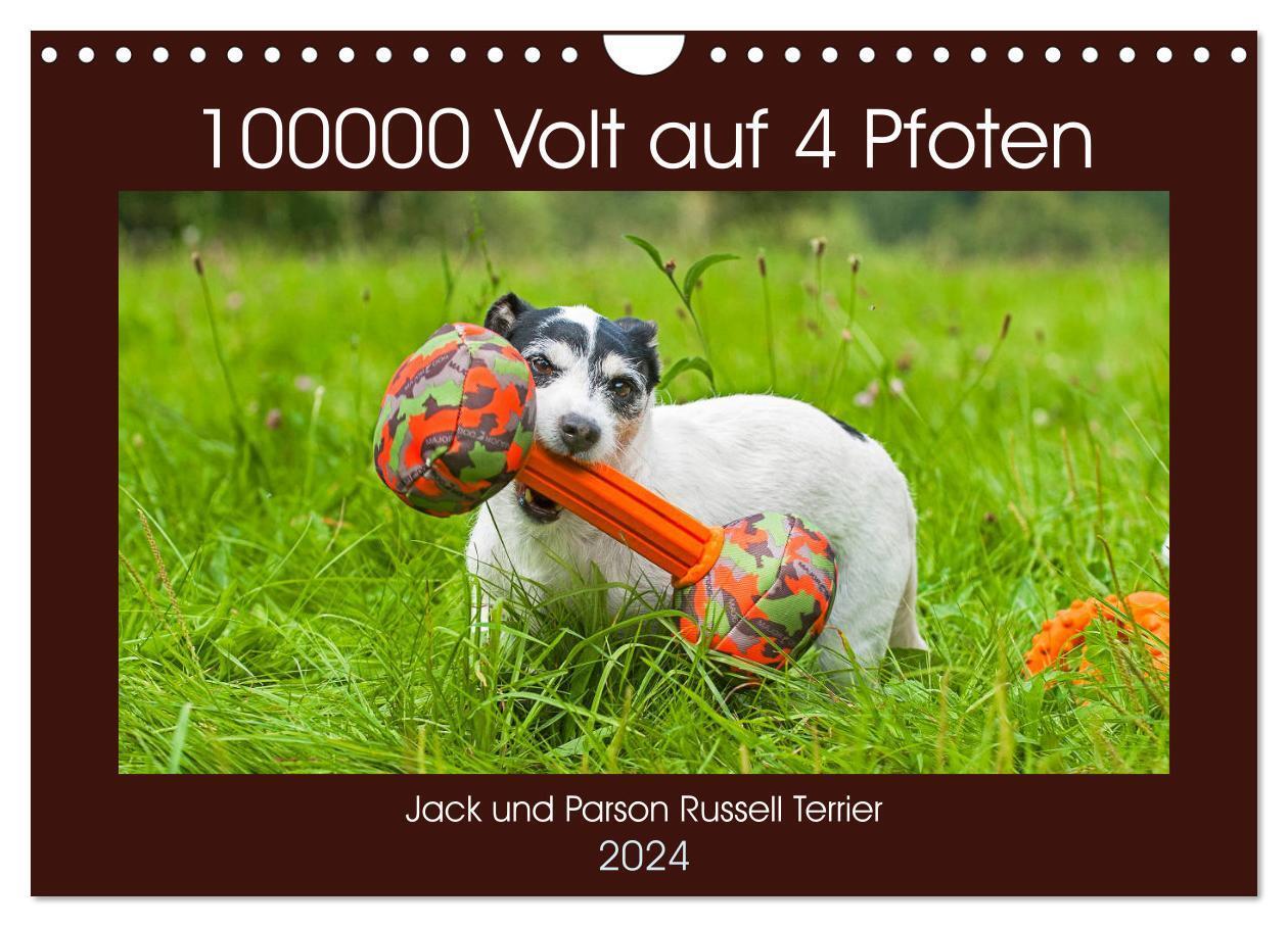 Cover: 9783383021480 | 100000 Volt auf vier Pfoten - Jack und Parson Russell Terrier...