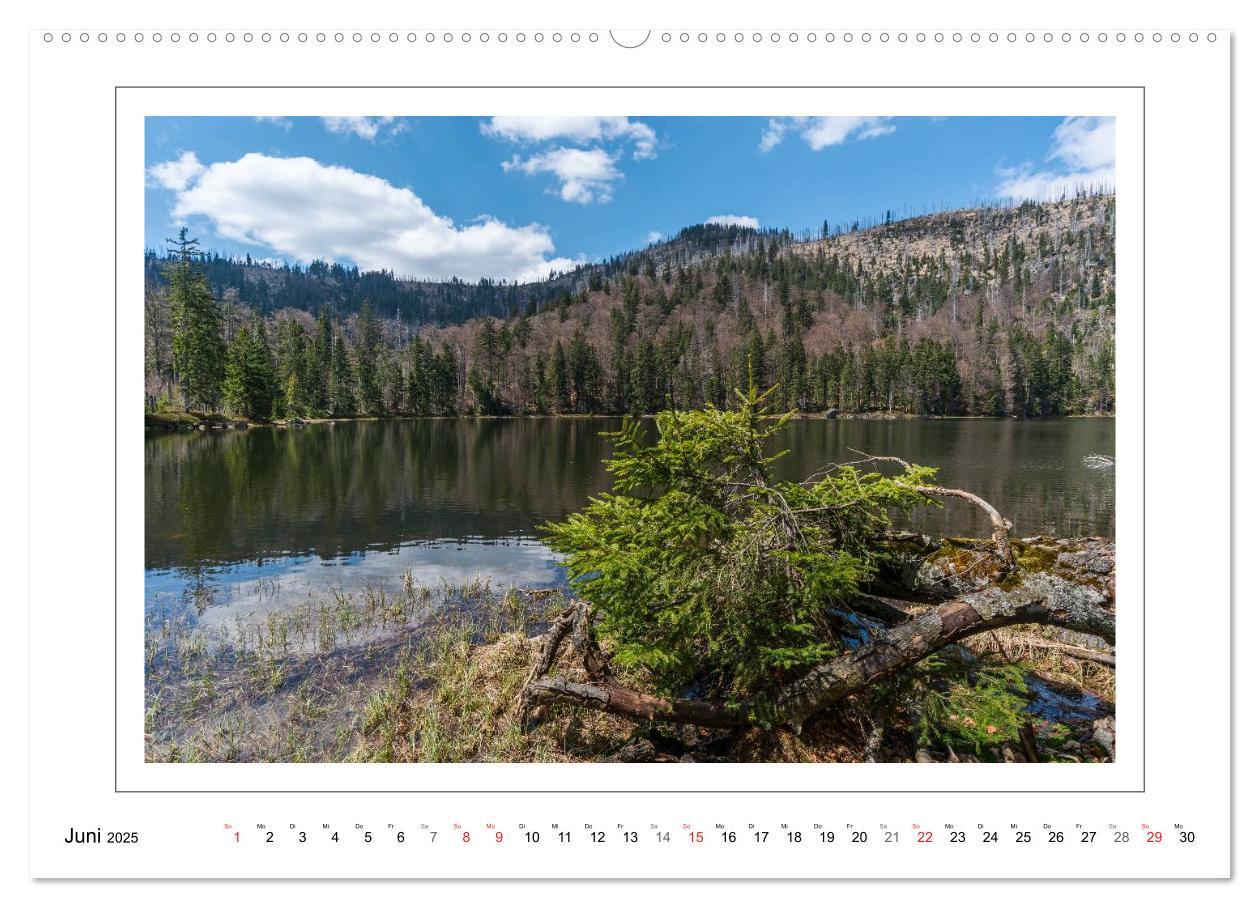 Bild: 9783435461813 | Unterwegs im Bayerischen Wald (Wandkalender 2025 DIN A2 quer),...