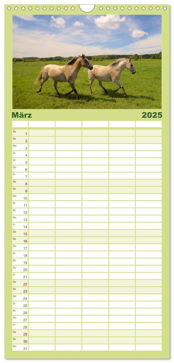 Bild: 9783457111130 | Familienplaner 2025 - Wilde Pferde mit 5 Spalten (Wandkalender, 21...