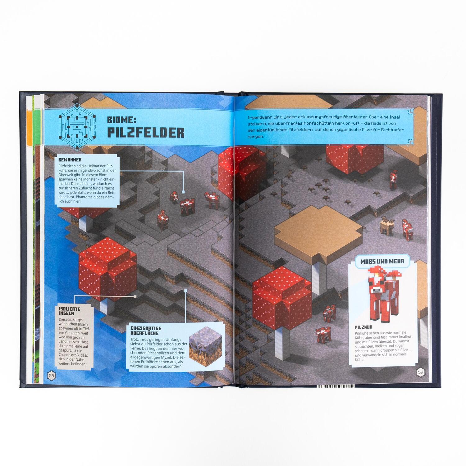 Bild: 9783505151583 | Minecraft Entdecker-Handbuch | Minecraft (u. a.) | Buch | 96 S. | 2024