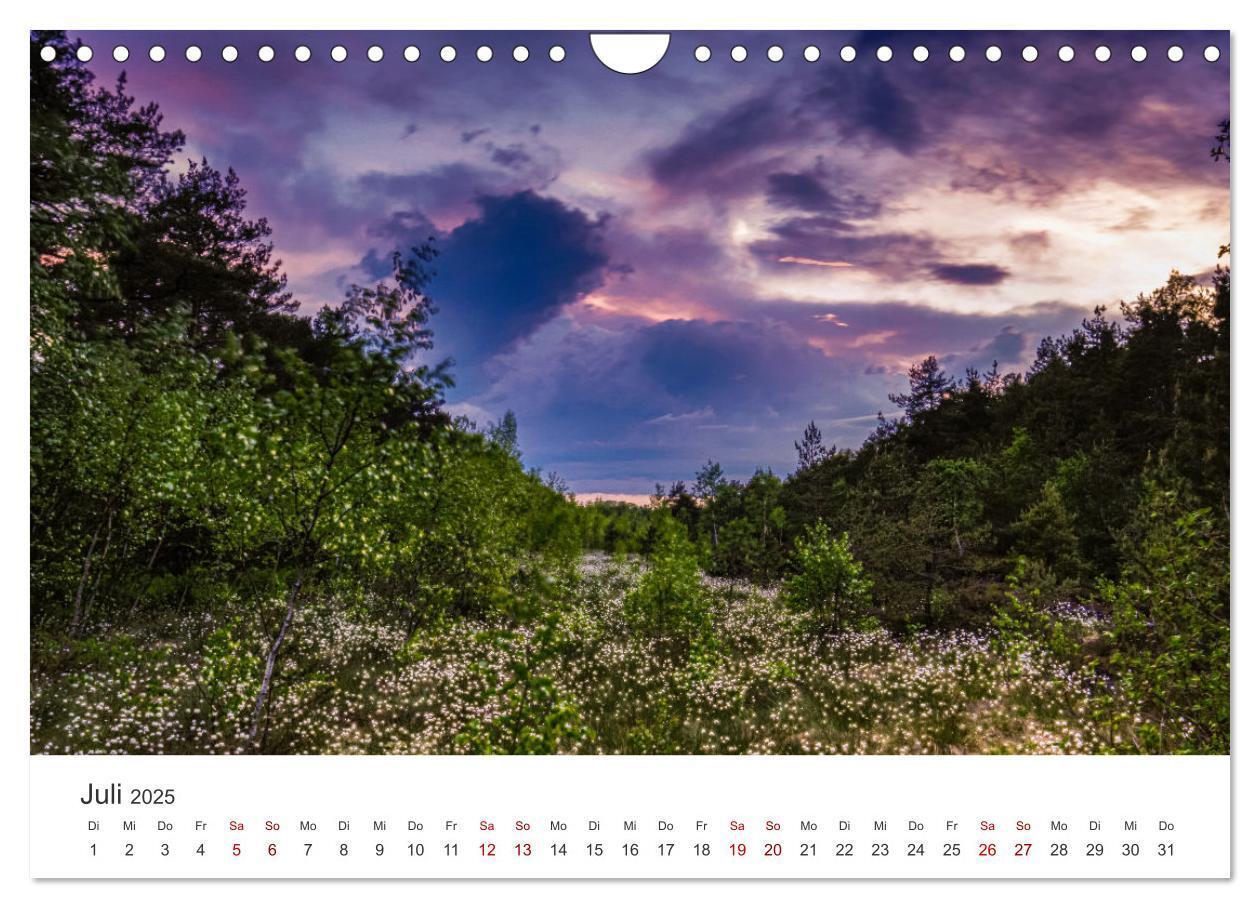 Bild: 9783383812101 | Naturjuwel Haspelmoor (Wandkalender 2025 DIN A4 quer), CALVENDO...