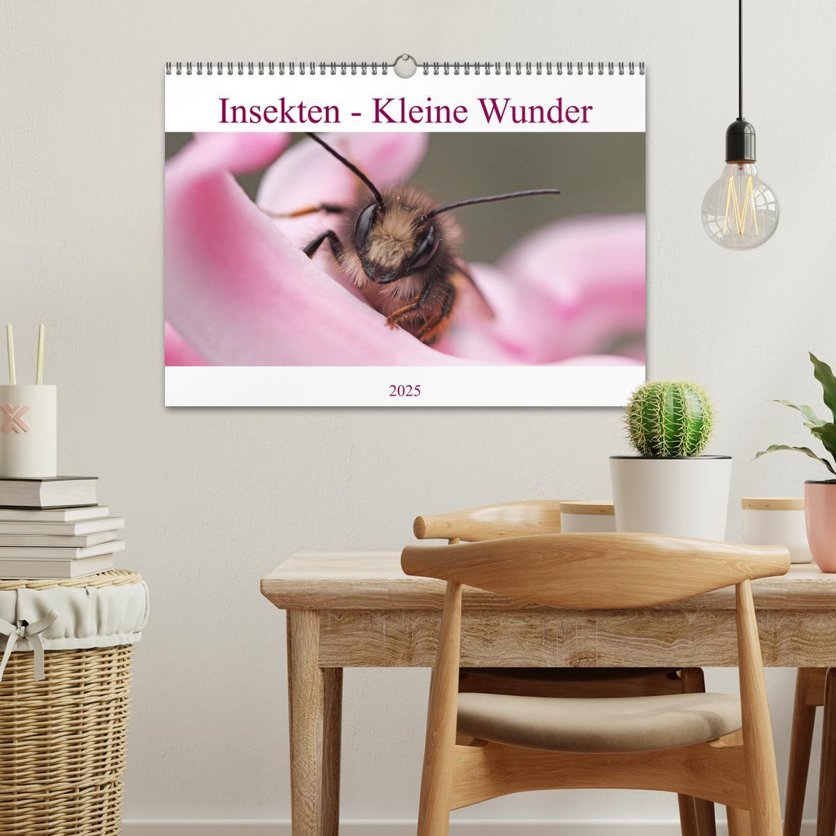 Bild: 9783435072873 | Insekten - Kleine Wunder (Wandkalender 2025 DIN A3 quer), CALVENDO...