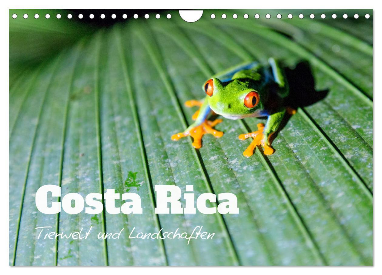 Cover: 9783675595408 | Costa Rica - Tierwelt und Landschaften (Wandkalender 2024 DIN A4...