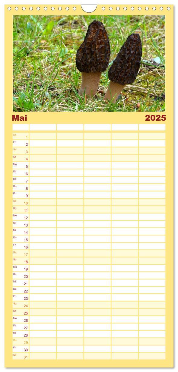 Bild: 9783457104149 | Familienplaner 2025 - Heimische Pilze mit 5 Spalten (Wandkalender,...