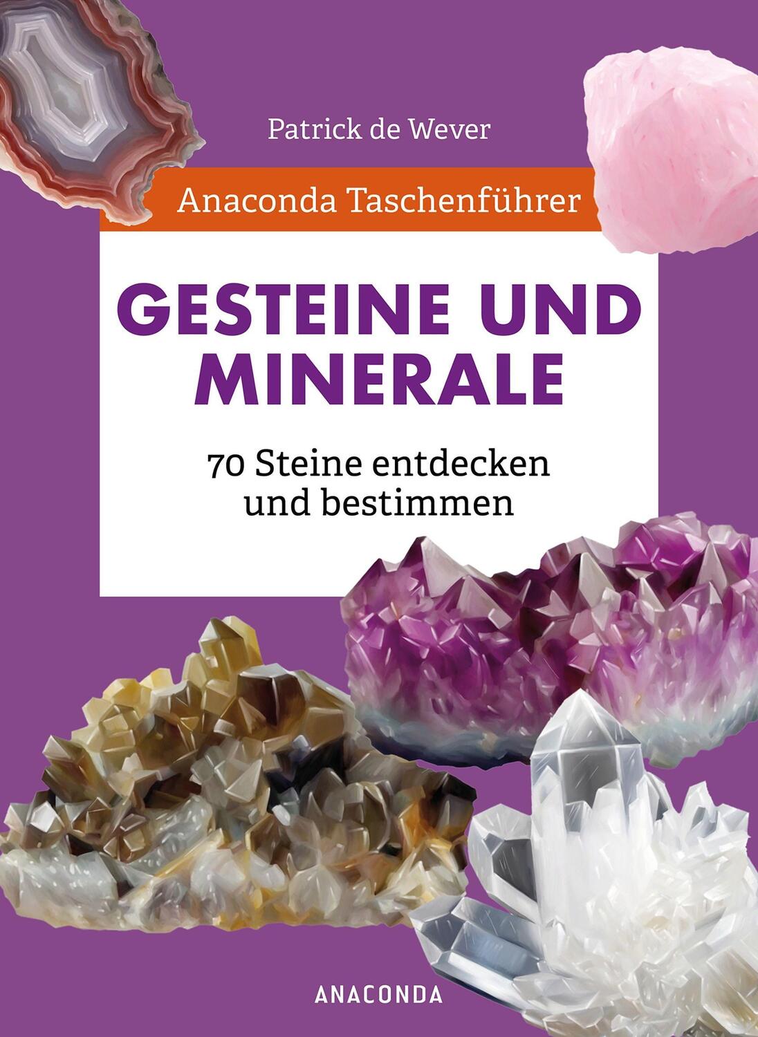 Cover: 9783730611562 | Anaconda Taschenführer Gesteine und Minerale. 70 Steine entdecken...