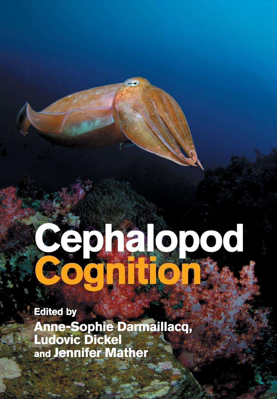 Cover: 9781108464697 | Cephalopod Cognition | Jennifer Mather | Taschenbuch | Paperback