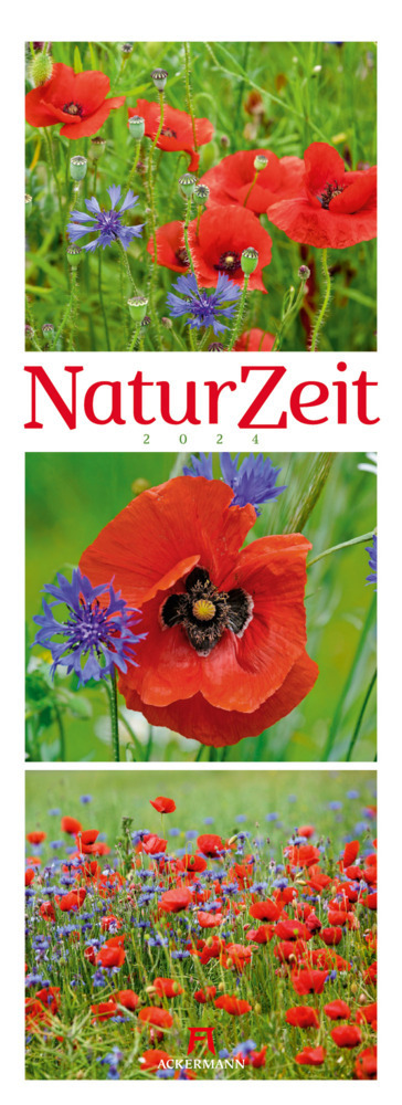 Cover: 9783838434094 | NaturZeit Triplet-Kalender 2024 | Ackermann Kunstverlag | Kalender