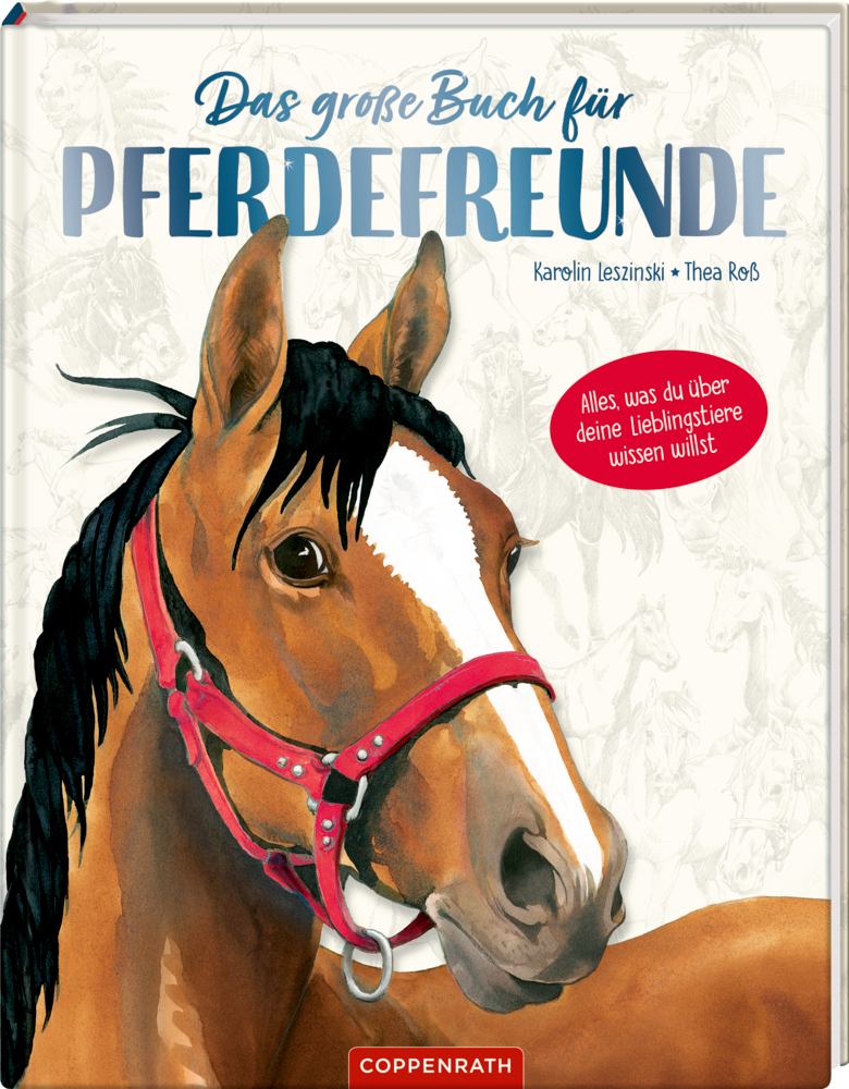 Cover: 9783649670186 | Das große Buch für Pferdefreunde | Karolin Leszinski | Buch | 128 S.