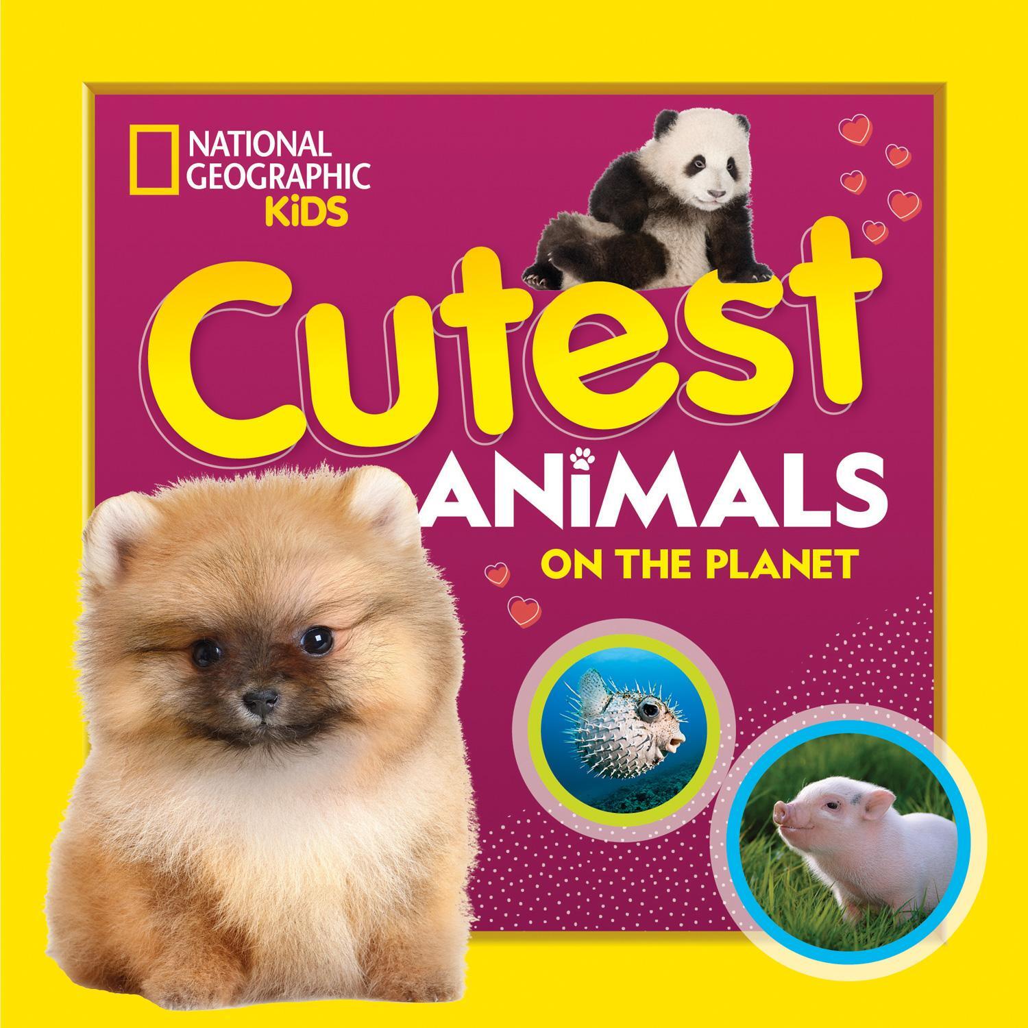 Cover: 9781426339219 | Cutest Animals on the Planet | National Geographic Kids | Taschenbuch