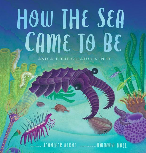Cover: 9780802854780 | How the Sea Came to Be | (And All the Creatures in It) | Berne | Buch