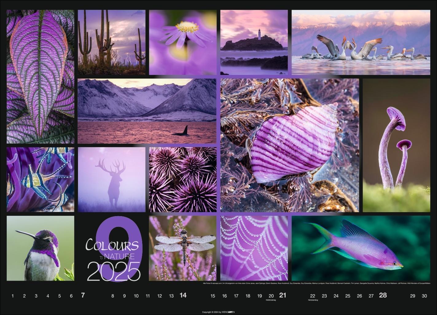 Bild: 9783839900888 | Colours of Nature Kalender 2025 | Kalender | Spiralbindung | 14 S.