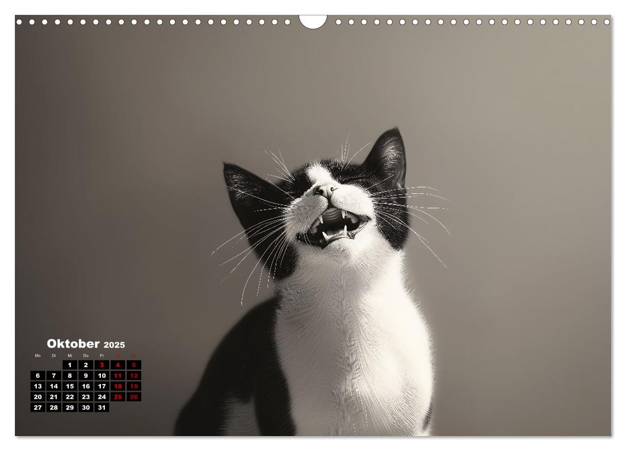 Bild: 9783457202005 | Auch Katzen lachen gern (Wandkalender 2025 DIN A3 quer), CALVENDO...