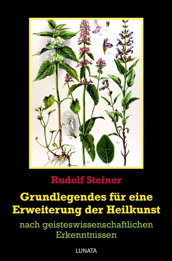 Cover: 9783752943030 | Grundlegendes zur Erweiterung der Heilkunst | Rudolf Steiner | Buch