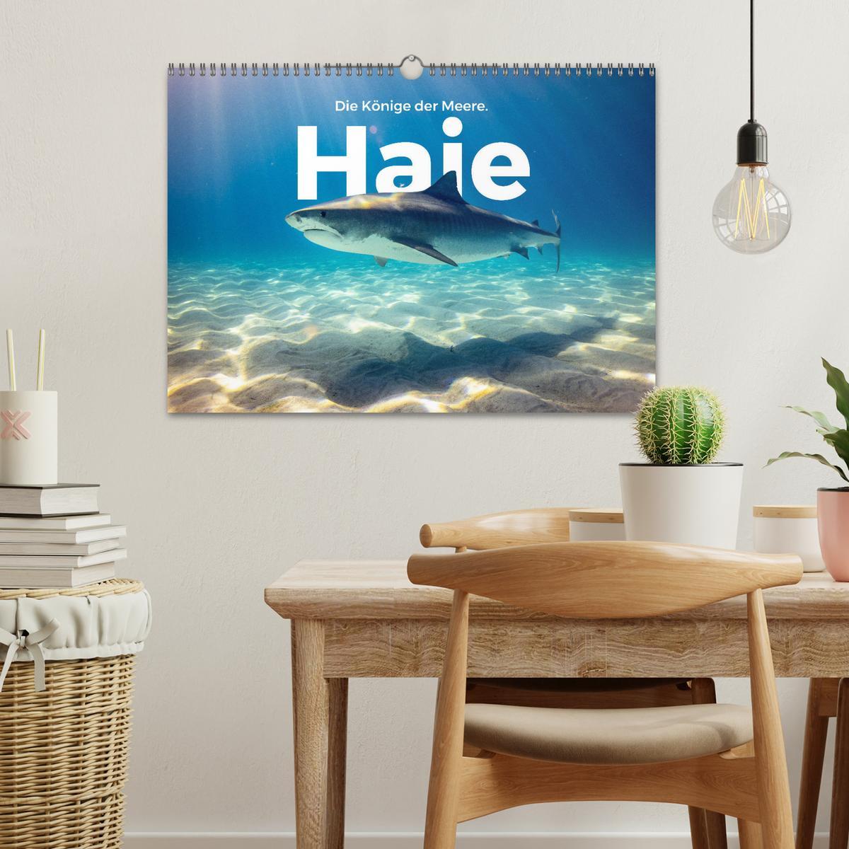 Bild: 9783435001194 | Haie - Könige der Meere. (Wandkalender 2025 DIN A3 quer), CALVENDO...