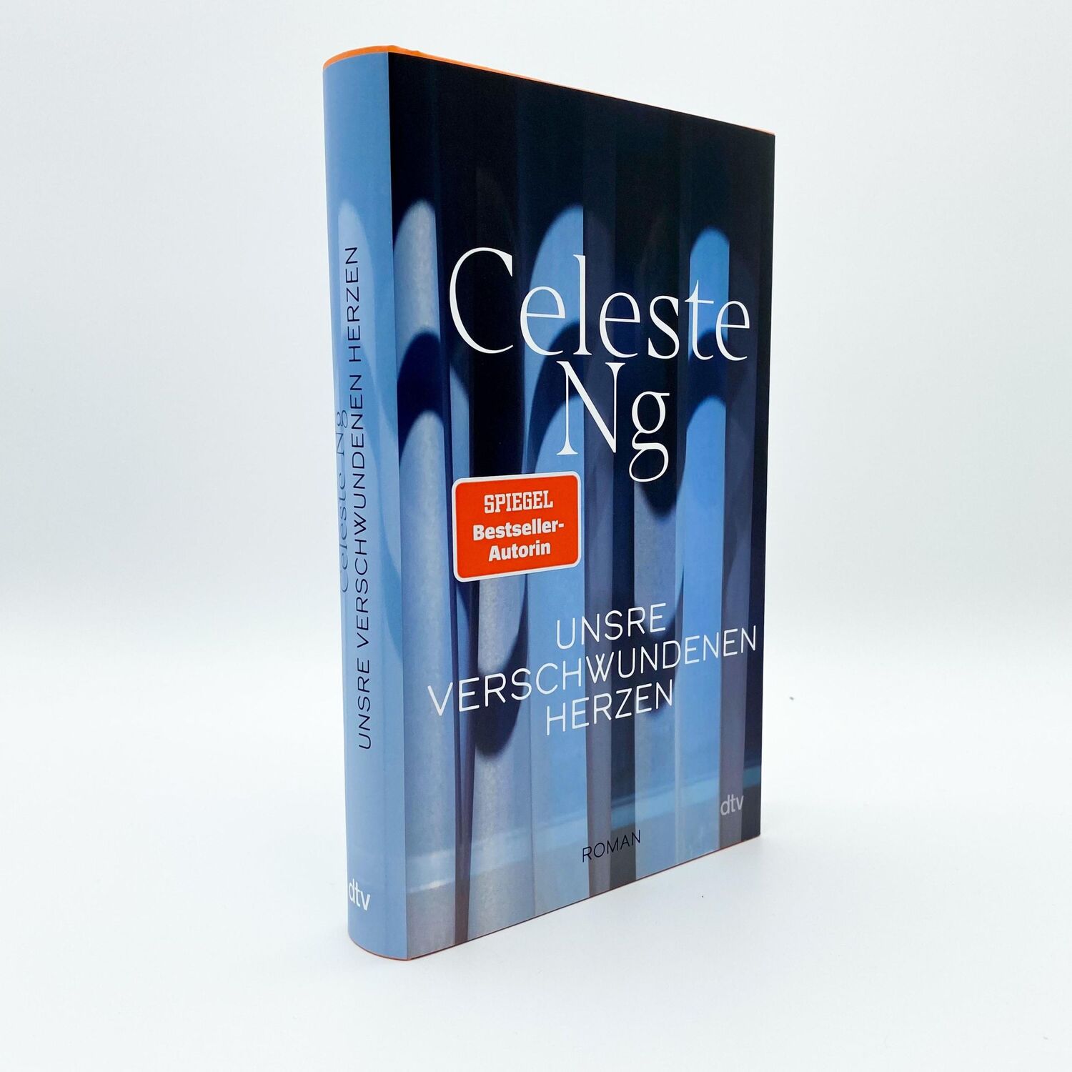 Bild: 9783423290357 | Unsre verschwundenen Herzen | Celeste Ng | Buch | 400 S. | Deutsch