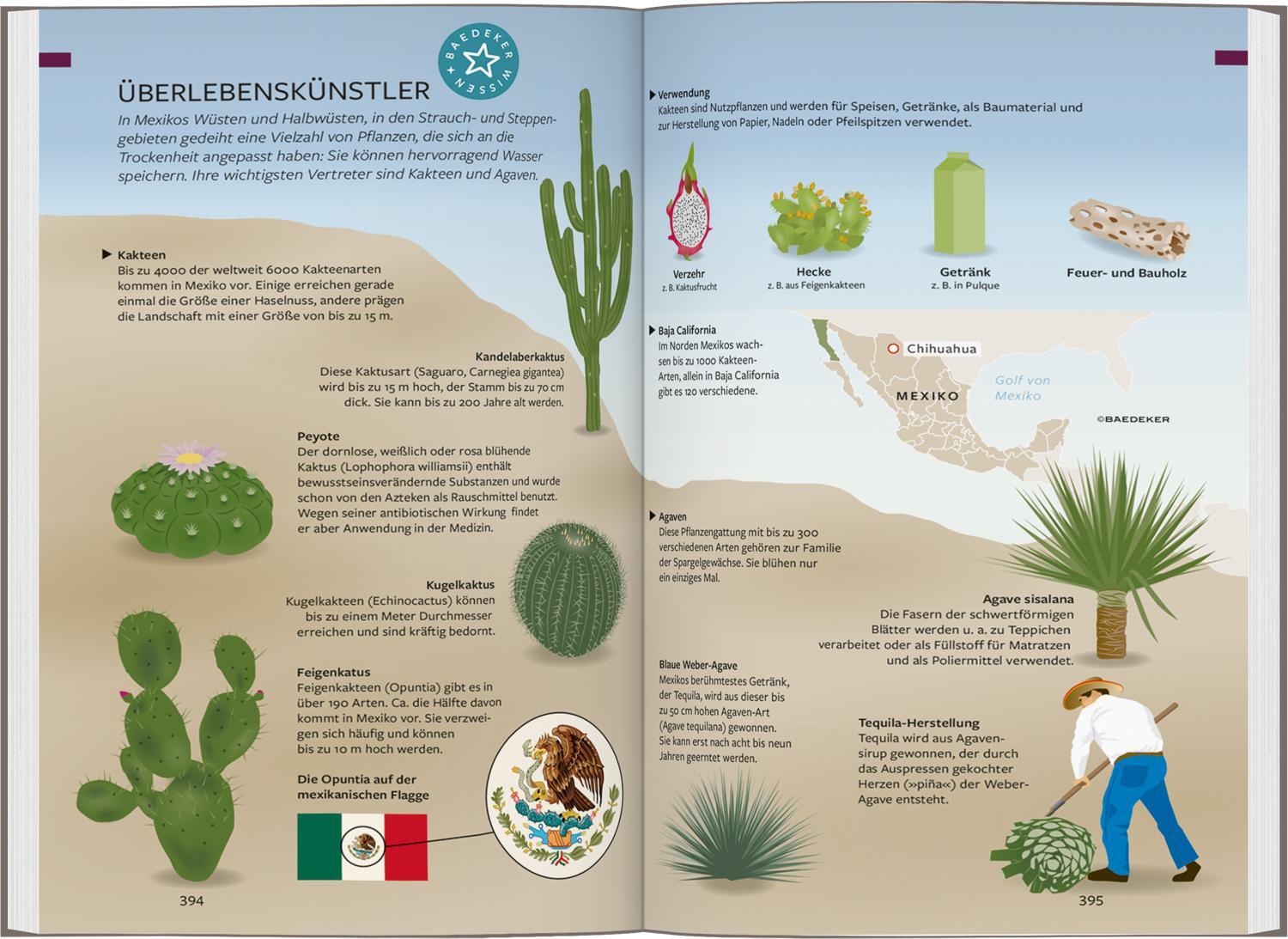 Bild: 9783575001139 | Baedeker Reiseführer Mexiko | mit praktischer Karte EASY ZIP | Israel