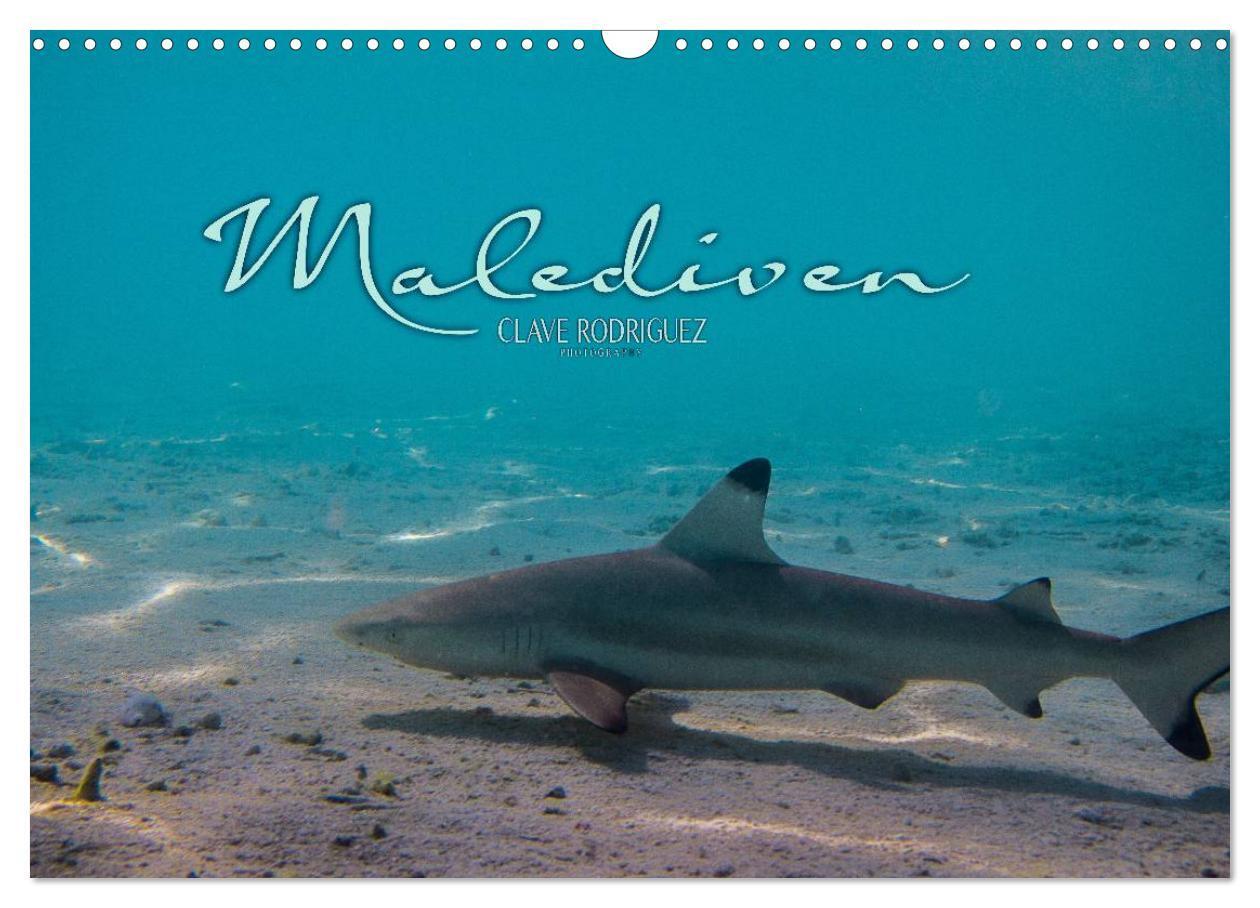 Cover: 9783383602948 | Unterwasserwelt der Malediven I (Wandkalender 2024 DIN A3 quer),...