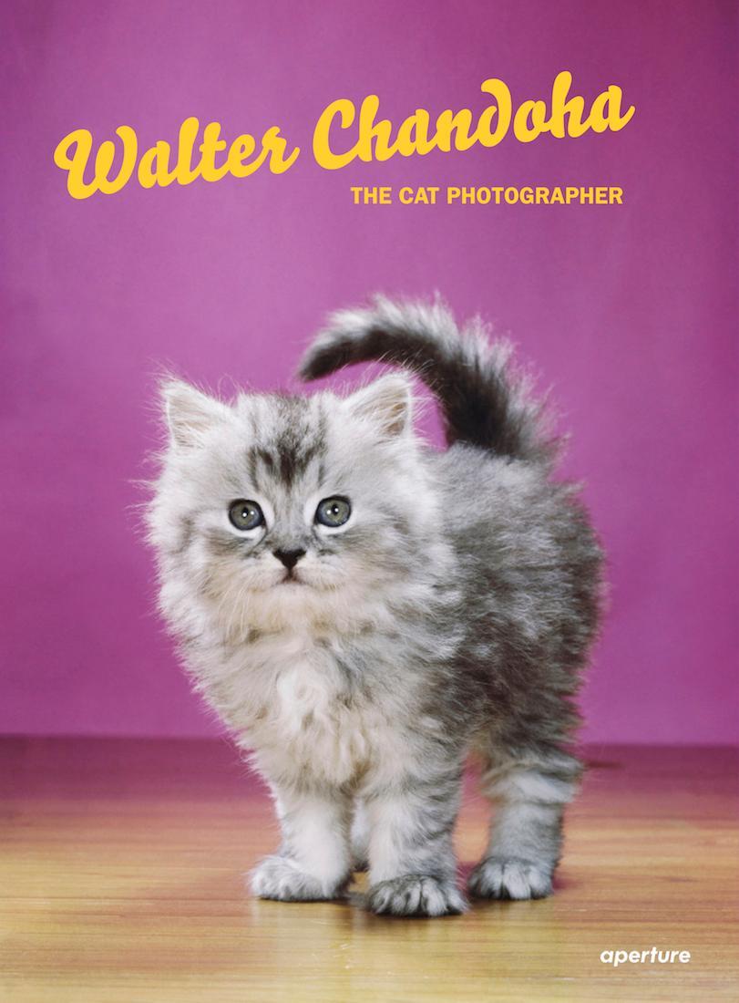Cover: 9781597114530 | Walter Chandoha: The Cat Photographer | Buch | Englisch | 2018