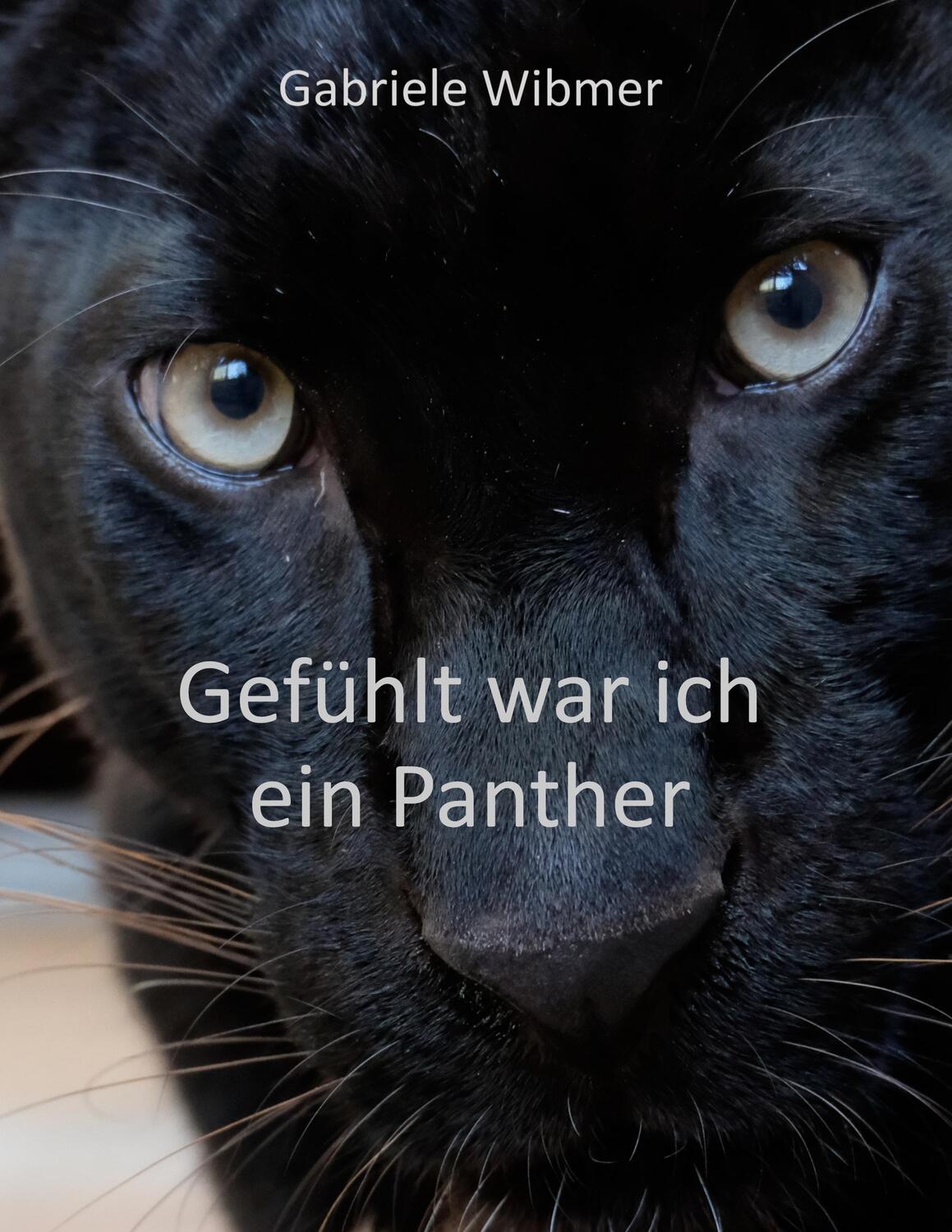 Cover: 9783756884230 | Gefühlt war ich ein Panther | Gabriele Wibmer | Buch | Deutsch | 2022