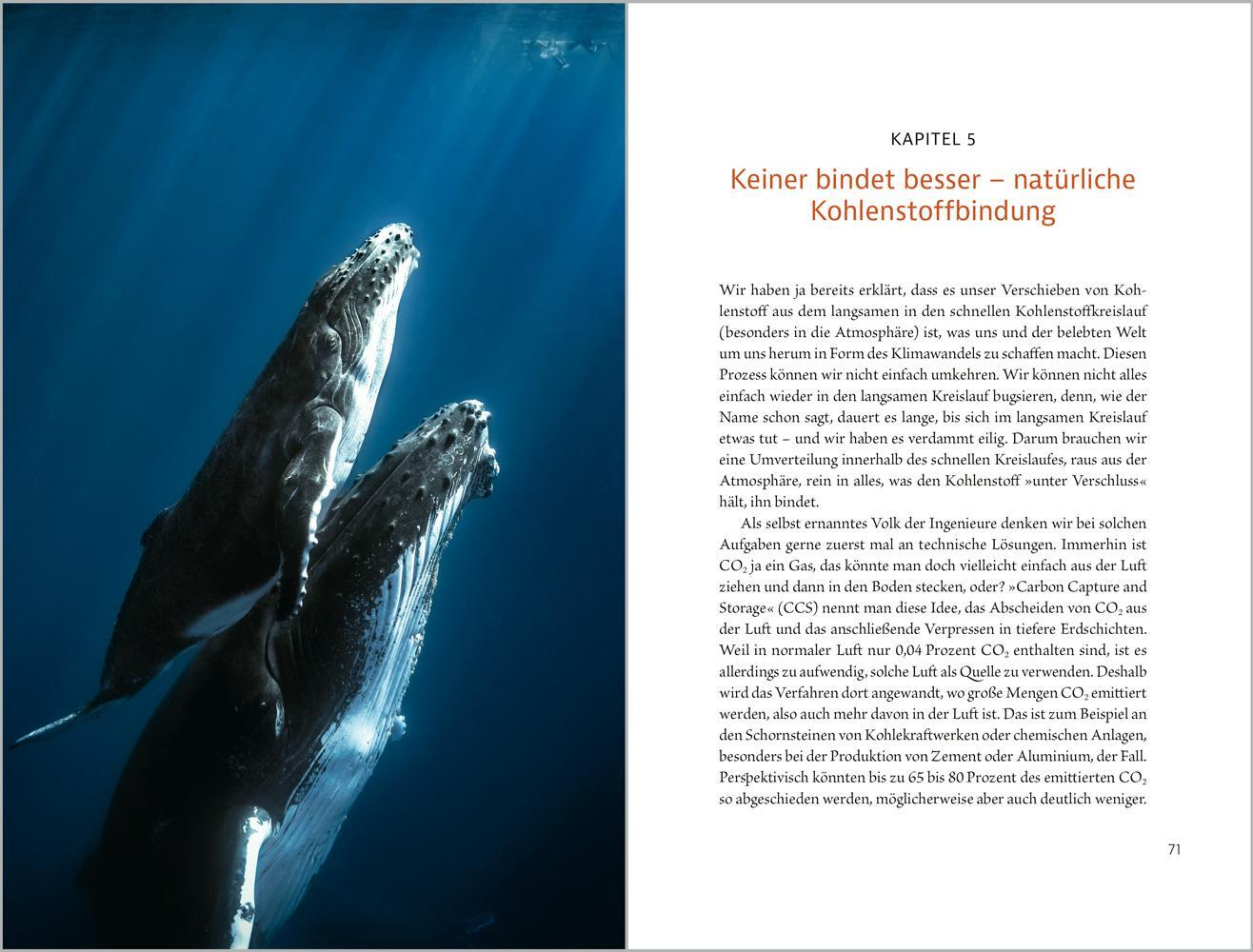 Bild: 9783962384197 | Wal macht Wetter | Warum biologische Vielfalt unser Klima rettet