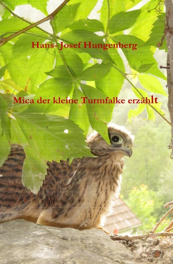 Cover: 9783750263772 | Mica der kleine Turmfalke erzählt | Hans- Josef Hungenberg | Buch