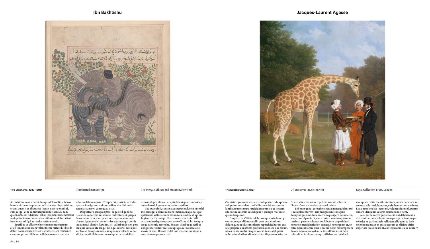 Bild: 9780714876818 | Animal | Exploring the Zoological World | Phaidon Editors | Buch