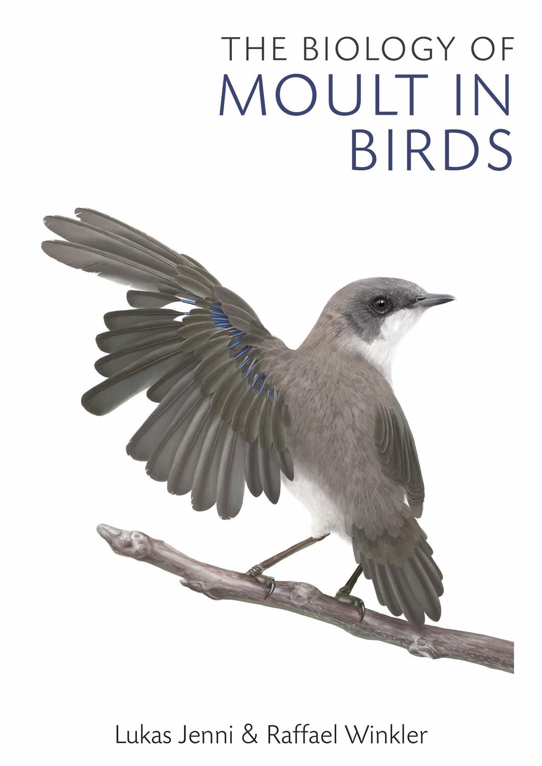 Cover: 9781472977229 | The Biology of Moult in Birds | Lukas Jenni (u. a.) | Buch | Gebunden