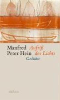 Cover: 9783835300415 | Aufriss des Lichts | Späte Gedichte 2000-2005 | Manfred Peter Hein