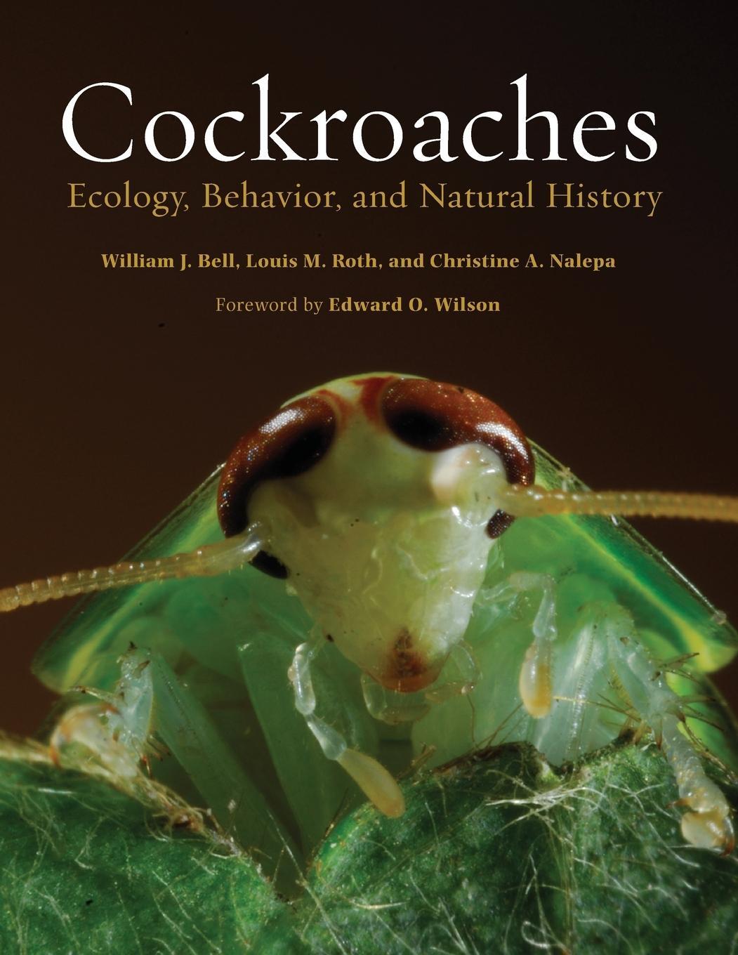 Cover: 9781421421148 | Cockroaches | Ecology, Behavior, and Natural History | Bell (u. a.)