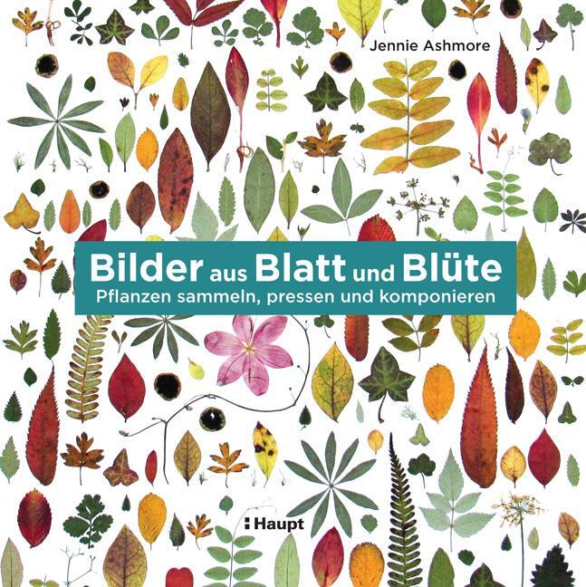 Cover: 9783258602066 | Bilder aus Blatt und Blüte | Pflanzen sammeln, pressen und komponieren