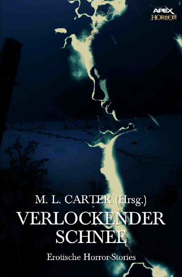 Cover: 9783748573579 | VERLOCKENDER SCHNEE | Erotische Horror-Storys | Bradley (u. a.) | Buch