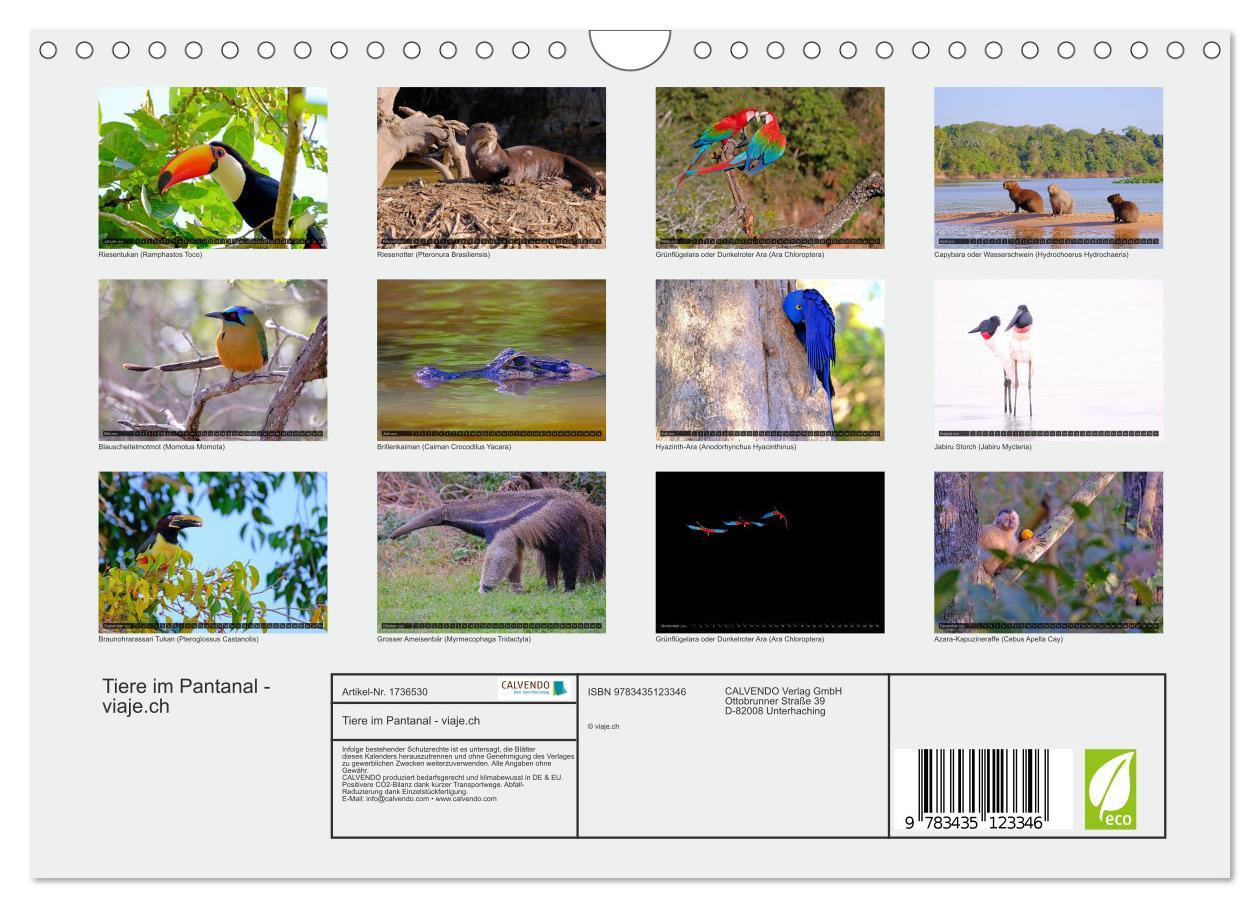 Bild: 9783435123346 | Tiere im Pantanal - viaje.ch (Wandkalender 2025 DIN A4 quer),...