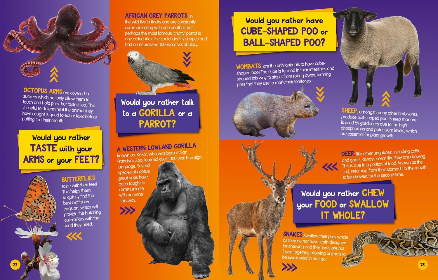 Bild: 9780008503352 | Would you rather? Animals | A Fun-Filled Family Game Book | Kids