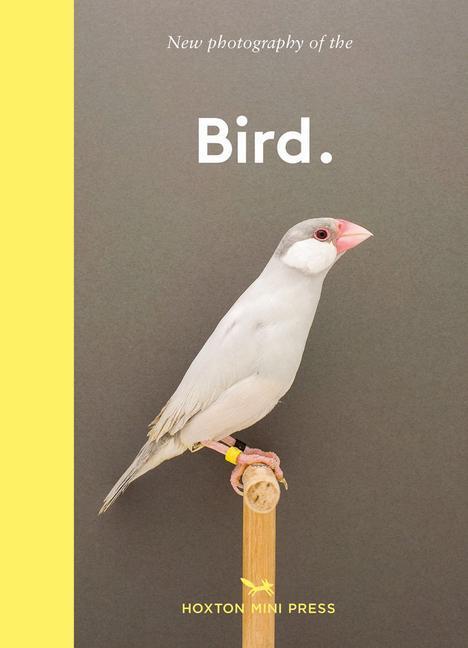 Cover: 9781910566718 | Bird. | The best new photography of birds | Hoxton Mini Press | Buch