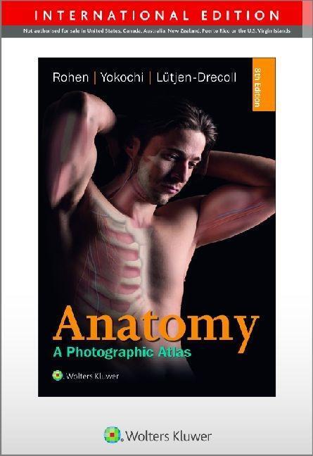 Cover: 9783794529827 | Color Atlas of Anatomy - international edition | Rohen (u. a.) | Buch