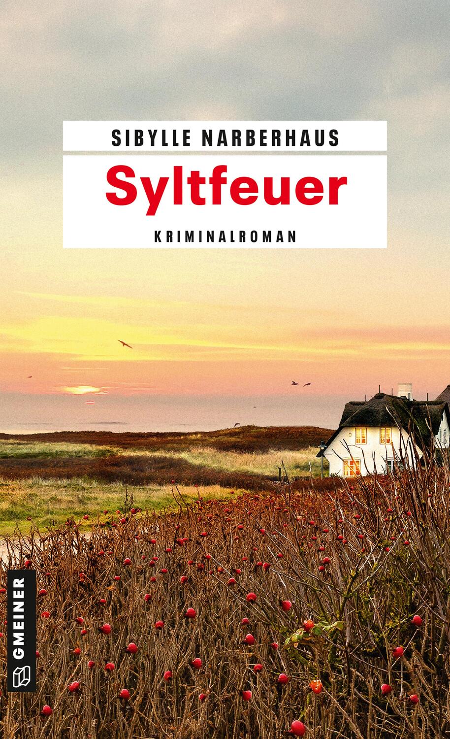 Cover: 9783839225073 | Syltfeuer | Kriminalroman | Sibylle Narberhaus | Taschenbuch | Deutsch
