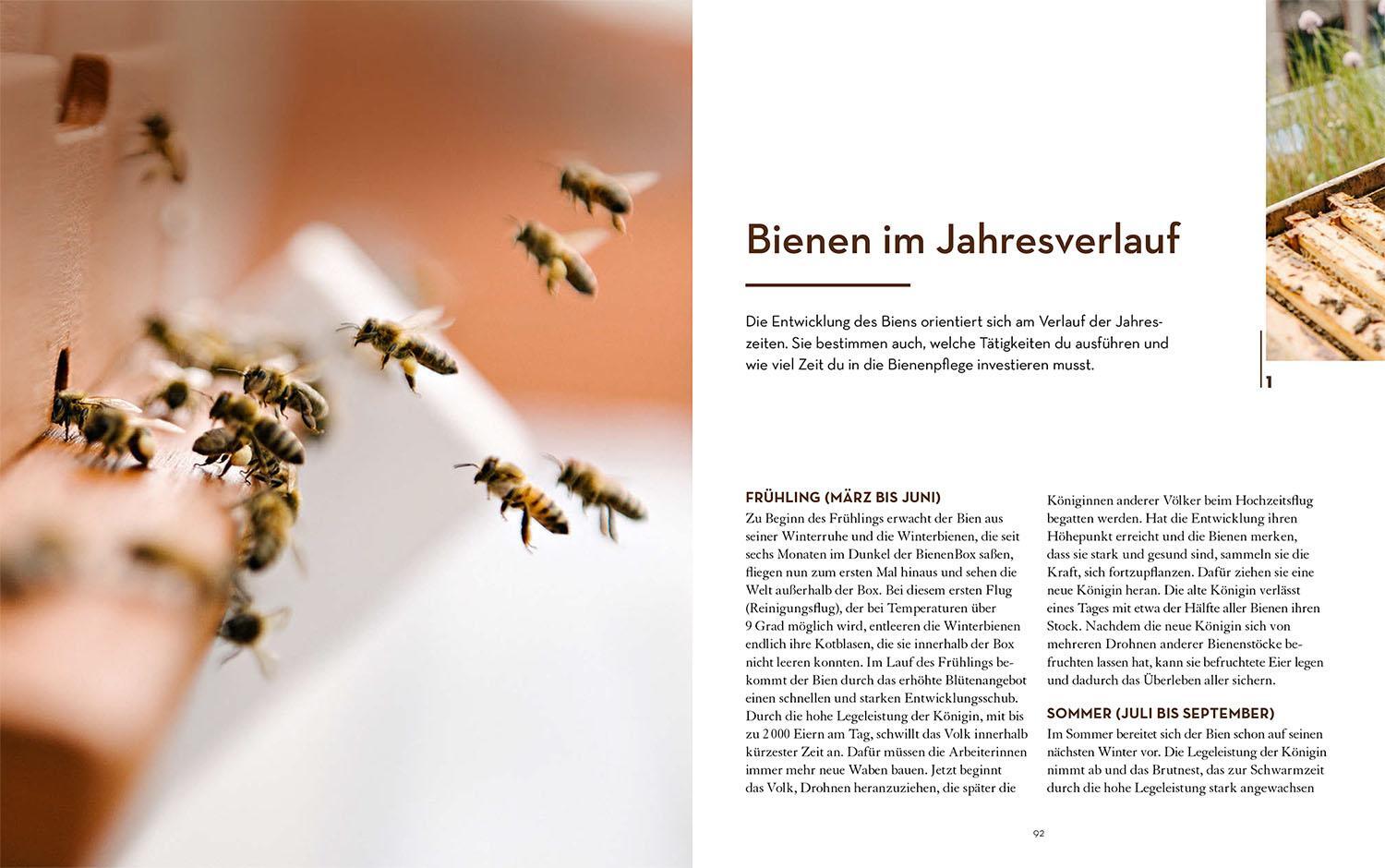 Bild: 9783440176931 | Bienen halten mit der BienenBox | Ökologisch imkern auf kleinstem Raum