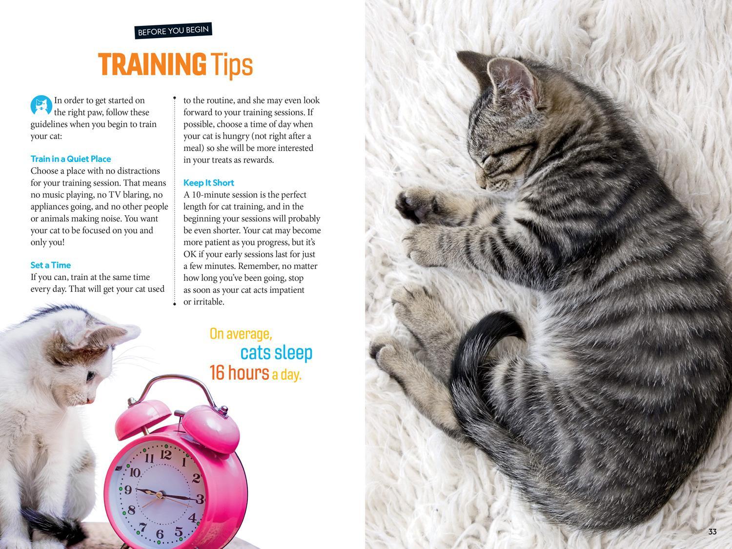 Bild: 9781426338465 | Pounce! a How to Speak Cat Training Guide | Gary Weitzman | Buch