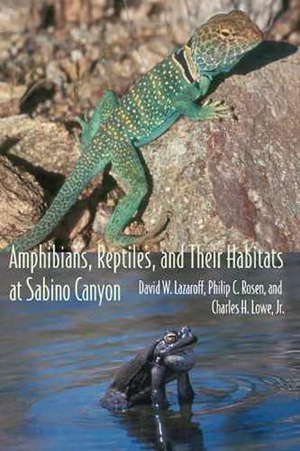 Cover: 9780816524952 | Amphibians, Reptiles, and Their Habitats at Sabino Canyon | Buch